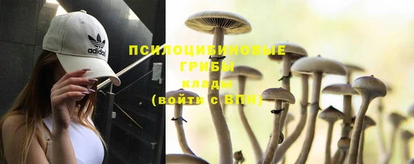 крисы Покачи