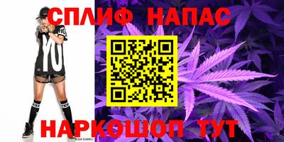 крисы Дубна