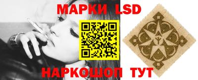 крисы Дубна