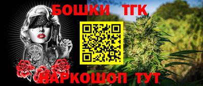 крисы Дубна