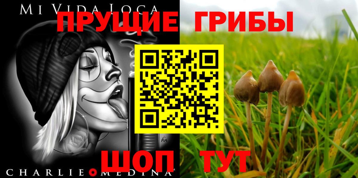 Галлюциногенные грибы GOLDEN TEACHER Аксай