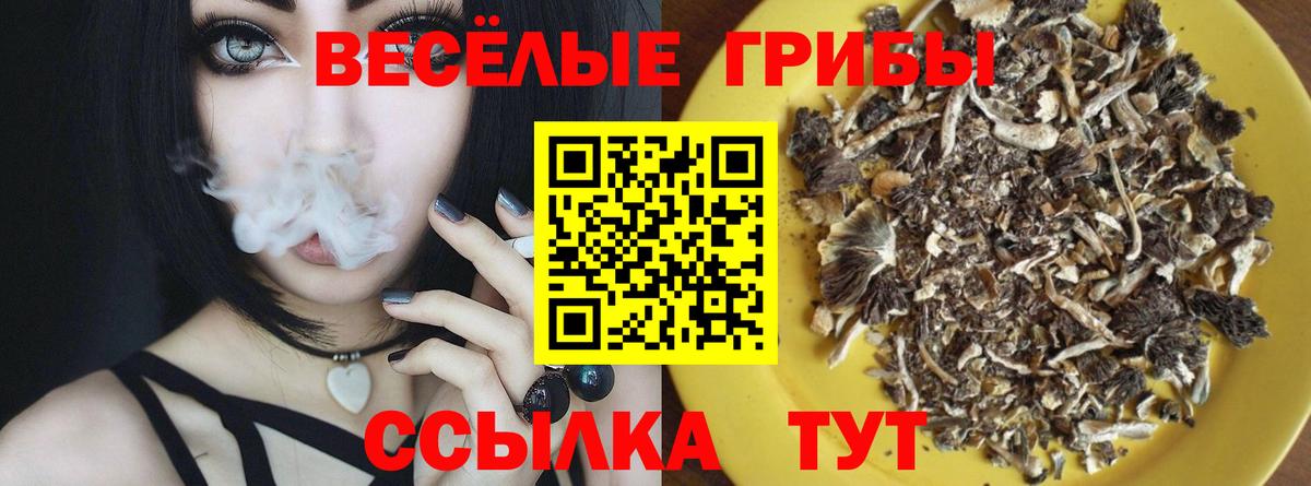 Псилоцибиновые грибы Psilocybine cubensis  Вход с VPN  Галлюциногенные грибы Psilocybe  Аксай 